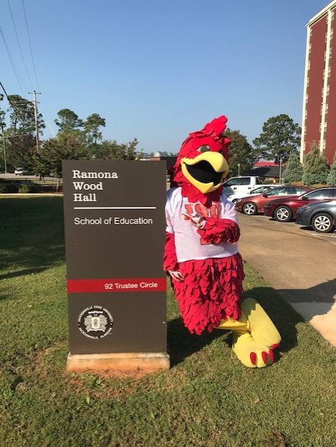 Picture of Cocky at the College of Education and Professional Studies